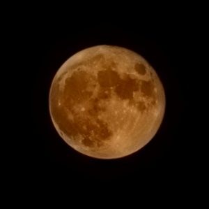 Meet your Posher, Em